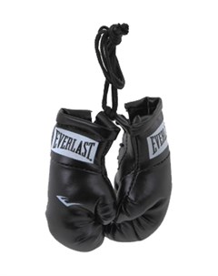 Брелок Mini Boxing Glove Everlast