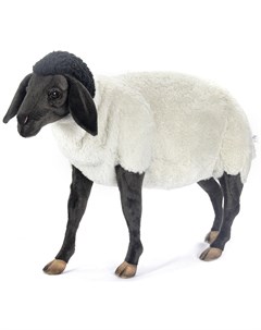 Мягкая игрушка Суффолкская овечка 65 см 7065 Hansa creation