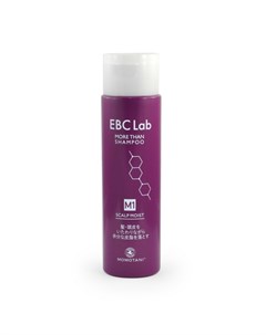 Увлажняющий шампунь для придания объема для сухой кожи головы ebc lab scalp moist shampoo Momotani
