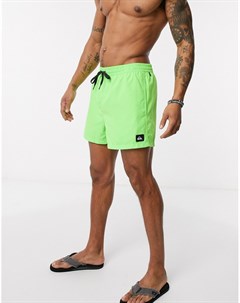 Зеленые пляжные шорты Everyday Volley 15 inch Quiksilver