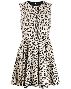 Платье мини с леопардовым принтом Dolce&gabbana