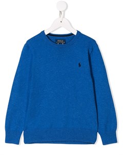 Джемпер с вышитым логотипом Polo ralph lauren