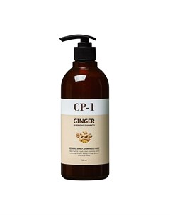 Шампунь для волос Ginger Purifying Shampoo Esthetic house
