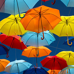 Основные советы при выборе зонта