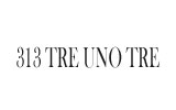 313 TRE UNO TRE